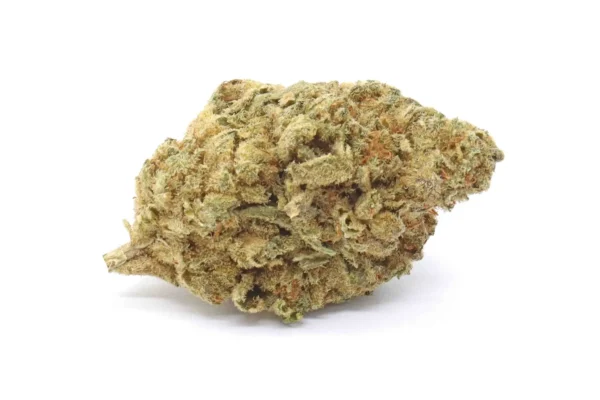 Variété Berry White Weed