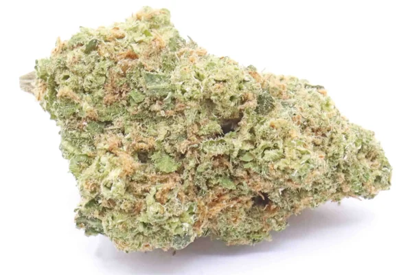 Blueberry Indica dominante hybride soort