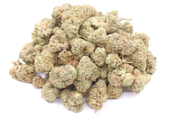 Buy OG Cheese Strain AAA Small Buds