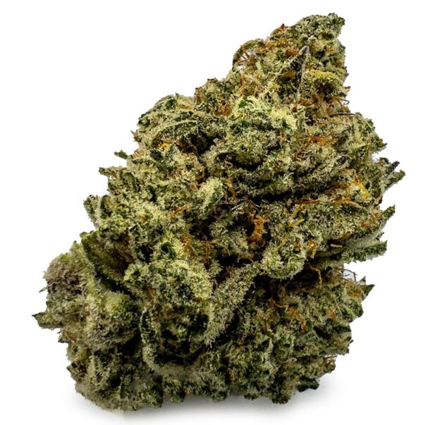 Buy Tropic Truffle Weed