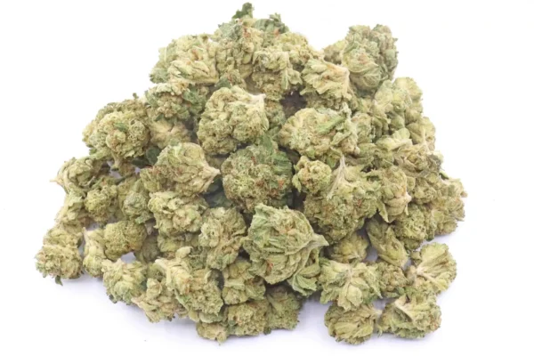 Ewok Strain Small Buds – Hybrid