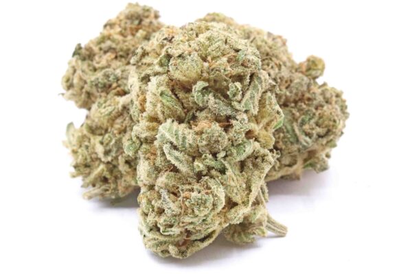 Holy Grail Cannabis Strain