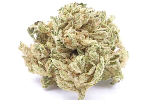 Ceppo di cannabis Sour Bubba